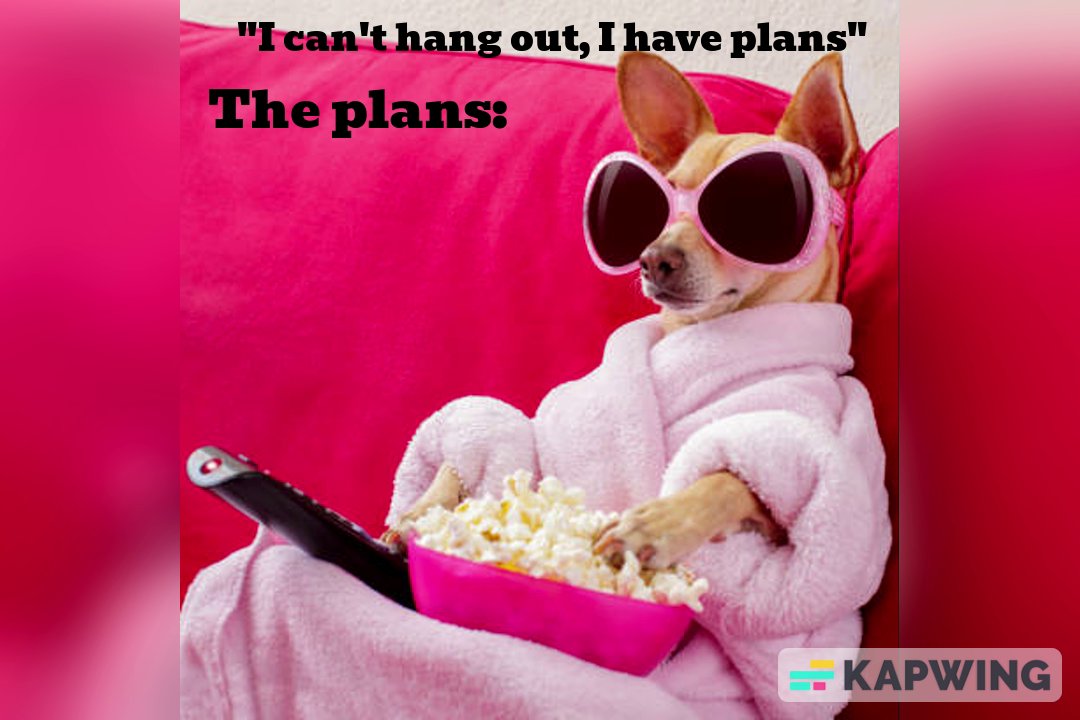 ally_corvin7443's tweet photo. Who can relate? #toobusytohang #meparty https://t.co/SCtefzt6cB