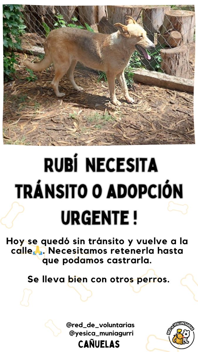 Red de Voluntarias (@red_voluntarias) on Twitter photo Ayuda para difundir por favor! <a href="/soyleomontero/">Leo Montero</a> <a href="/nikitaneumann/">Nicole Neumann</a> <a href="/MKloosterboerok/">Marcela</a> <a href="/Su_Gimenez/">Susana Gimenez</a> <a href="/chinasuarez/">China Suarez ♛</a> <a href="/zairana/">Zaira</a> Ayuda para difundir por favor! <a href="/soyleomontero/">Leo Montero</a> <a href="/nikitaneumann/">Nicole Neumann</a> <a href="/MKloosterboerok/">Marcela</a> <a href="/Su_Gimenez/">Susana Gimenez</a> <a href="/chinasuarez/">China Suarez ♛</a> <a href="/zairana/">Zaira</a>