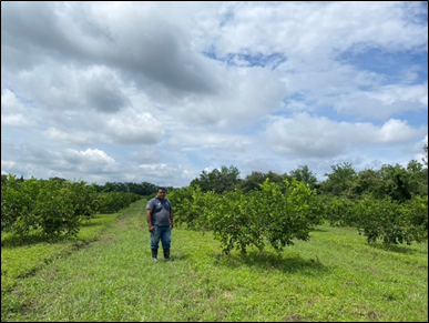 Asohofrucol's tweet photo. En el marco del Plan Nacional de Fomento Hortofrutícola #PNFH, el equipo del #Tolima ha realizado en #Flandes prácticas del modelo #SomosAgriculturaTropical, en un trabajo conjunto con la asociación de campesinos #ASOPEM-#AGROF. #Asohofrucol #FNFH #SomosUnModeloAmbiental https://t.co/yw50sauyqL