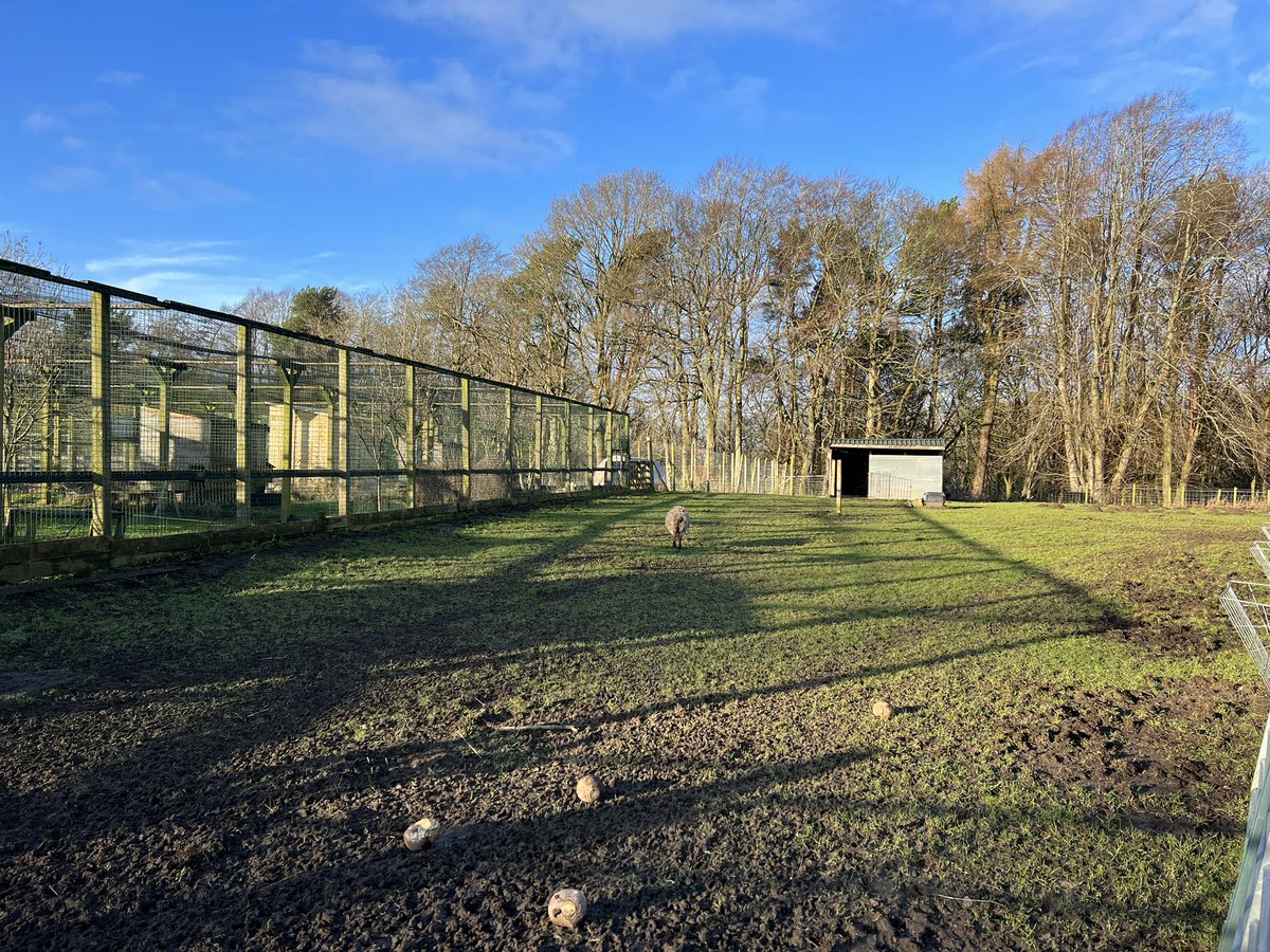 Lovely walk with the Outdoor group today. They coped so well on a challenging walk. Lots of fun and laughter today.