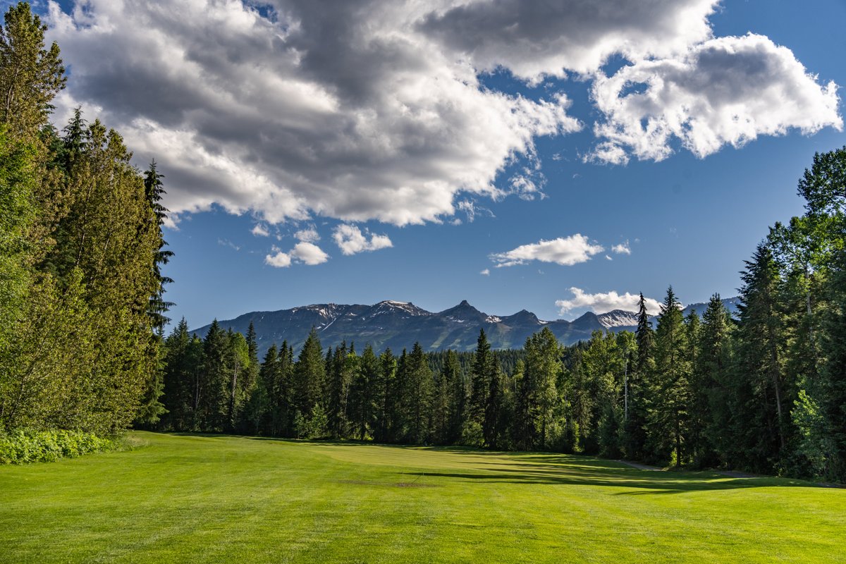 Are you a scratch golfer? I know I am because every time I hit the ball, I scratch my head wondering where on Earth it went.

#GolfGolden #GoldenBC