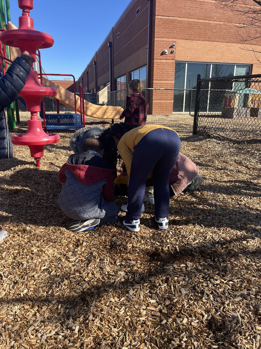 RCPS_EarlyLearn's tweet image. Earthworms 🪱 
#science #playgroundscience #pat #dph #earthwormfindings #tuesday #tuesdayvibe