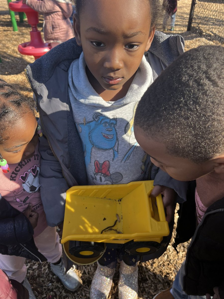 RCPS_EarlyLearn's tweet image. Earthworms 🪱 
#science #playgroundscience #pat #dph #earthwormfindings #tuesday #tuesdayvibe
