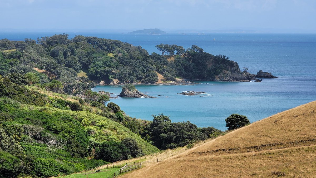 📍Waiheke Island, New Zealand

#newzealand #travel #bucketlist