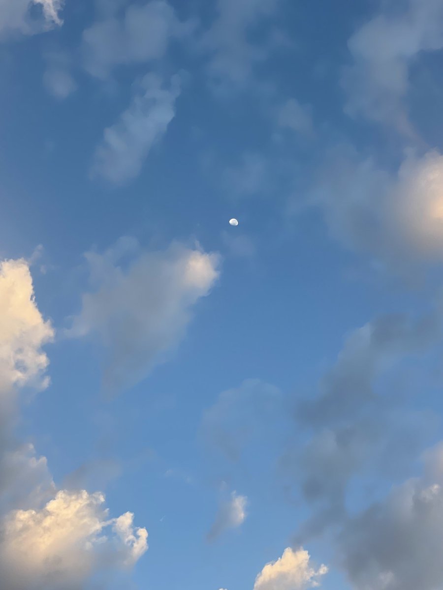 💧Ed Fessey tweet media