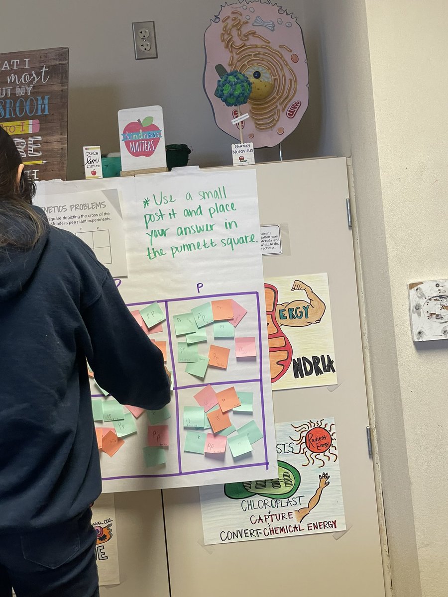 Loved visiting <a href="/heartoteach/">FoJulia O'Neal</a> to see her class engaged in work on genetics
