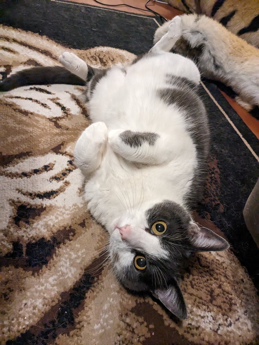 Ok, when you put it like that 🥰