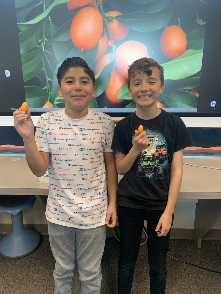 Alison Bento (@alisonbento1) on Twitter photo Thank you Harvest of the Month OCDE! The kumquats were sweet and tangy! 6th graders loved them!
<a href="/svpanthers_lh/">Sierra Vista</a> <a href="/OCDeptofEd/">OCDE</a> <a href="/ReginaE503/">Regina Evans</a> <a href="/ryder_jstout/">Jessica Stout-Ryder</a> Thank you Harvest of the Month OCDE! The kumquats were sweet and tangy! 6th graders loved them!
<a href="/svpanthers_lh/">Sierra Vista</a> <a href="/OCDeptofEd/">OCDE</a> <a href="/ReginaE503/">Regina Evans</a> <a href="/ryder_jstout/">Jessica Stout-Ryder</a>