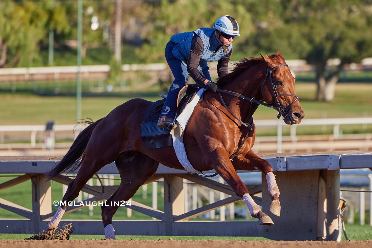 J McLaughlin Safford (@kimo16) on Twitter photo Forbidden Kingdom worked a half in 47.80 yesterday for HoF trainer Richard Mandella <a href="/santaanitapark/">Santa Anita Park</a> <a href="/MyRacehorse/">MyRacehorse</a> <a href="/spendthriftfarm/">Spendthrift Farm</a> only a few horses hit the 47s out of 52 so it was a handy work and photogenic as usual Forbidden Kingdom worked a half in 47.80 yesterday for HoF trainer Richard Mandella <a href="/santaanitapark/">Santa Anita Park</a> <a href="/MyRacehorse/">MyRacehorse</a> <a href="/spendthriftfarm/">Spendthrift Farm</a> only a few horses hit the 47s out of 52 so it was a handy work and photogenic as usual