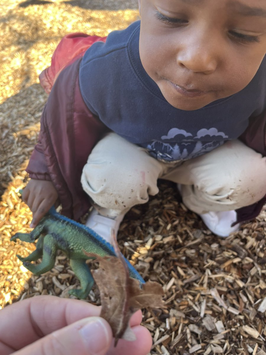 RCPS_EarlyLearn's tweet image. Earthworms 🪱 
#science #playgroundscience #pat #dph #earthwormfindings #tuesday #tuesdayvibe