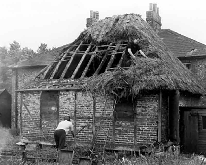 Weald & Downland Living Museum tweet media