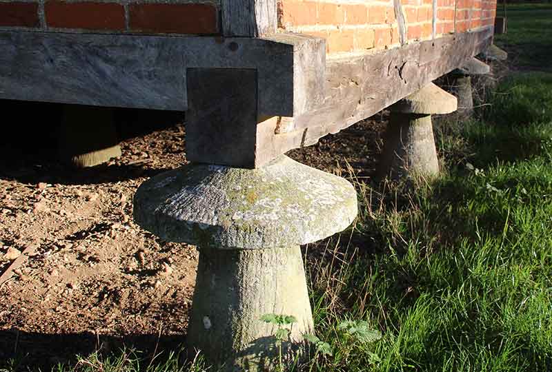 Weald & Downland Living Museum tweet media