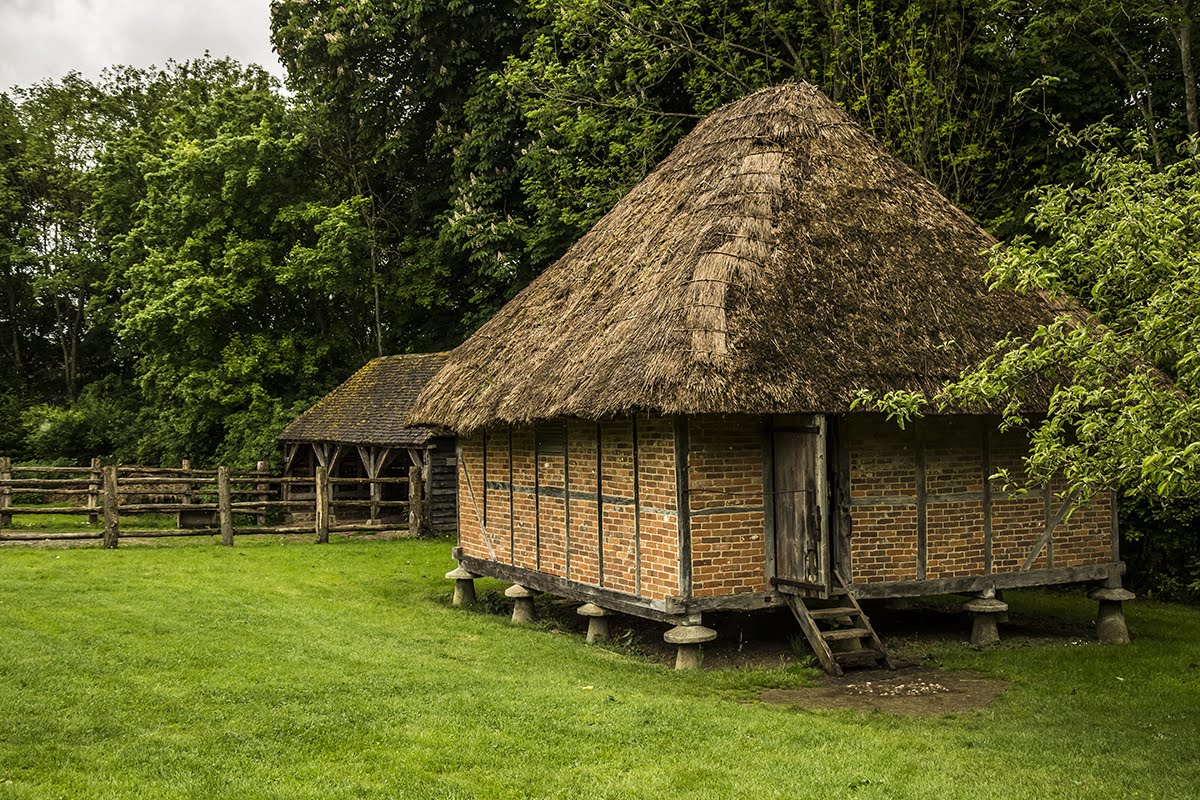 Weald & Downland Living Museum tweet media