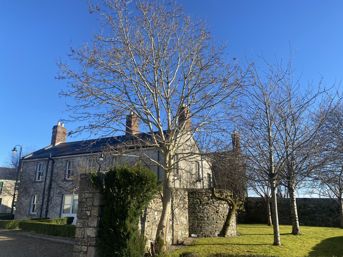 jackiemcguin's tweet photo. Another sunny ๐ day 30/1856 of #100daysofwalking #1900daysofwalking Fantastic afternoon in @CastleDargan #IconSpa big ๐ from me! https://t.co/gCZX0yQ7F3