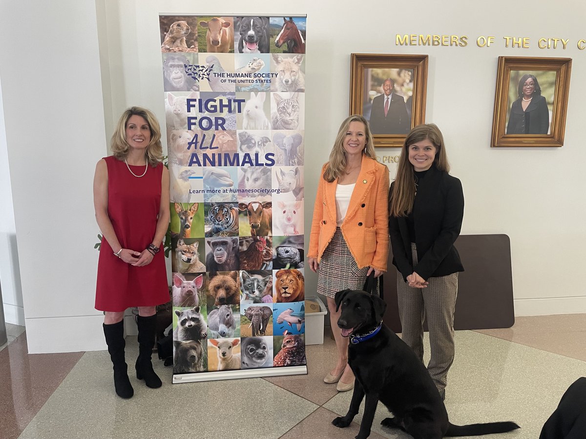 ALDF's tweet photo. We had a great 2024 FL Humane Lobby Day! Thank you to our co-host, HSUS, our amazing legislator speakers, @LindsayCrossFL, @repsamkillebrew, &amp; @ShaneAbbottFL and all of the incredible attendees who came to advocate for animals! 🙌 https://t.co/lW1jG3xmPq