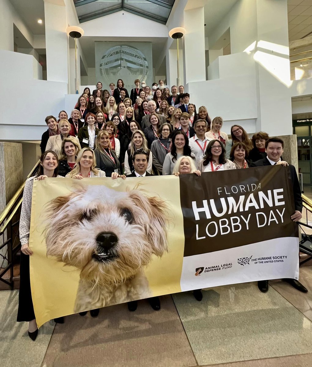 ALDF's tweet photo. We had a great 2024 FL Humane Lobby Day! Thank you to our co-host, HSUS, our amazing legislator speakers, @LindsayCrossFL, @repsamkillebrew, &amp; @ShaneAbbottFL and all of the incredible attendees who came to advocate for animals! 🙌 https://t.co/lW1jG3xmPq