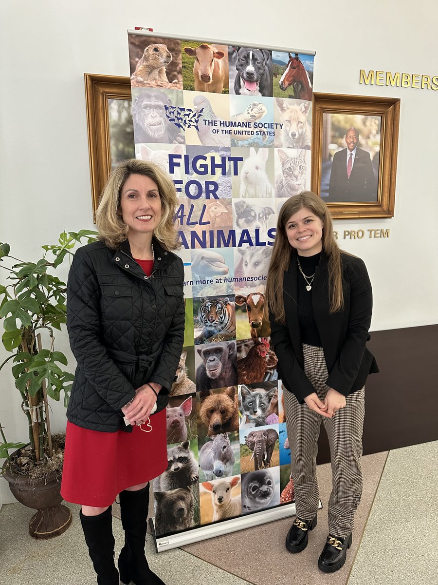 ALDF's tweet photo. We had a great 2024 FL Humane Lobby Day! Thank you to our co-host, HSUS, our amazing legislator speakers, @LindsayCrossFL, @repsamkillebrew, &amp; @ShaneAbbottFL and all of the incredible attendees who came to advocate for animals! 🙌 https://t.co/lW1jG3xmPq