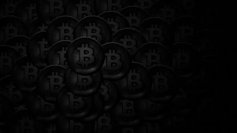 BitRyans tweet picture