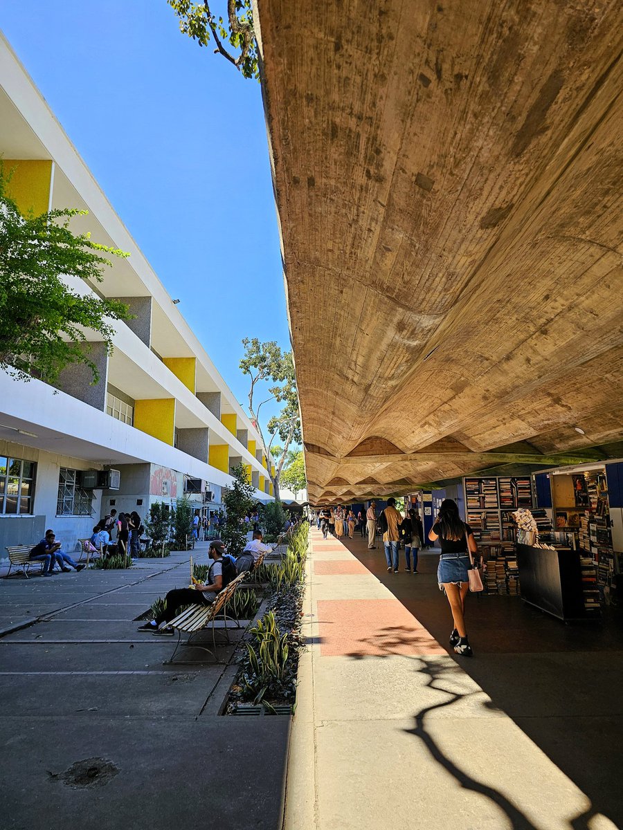 De mis fotos favoritas que he tomado en la UCV 🤌🏻

29/01/23