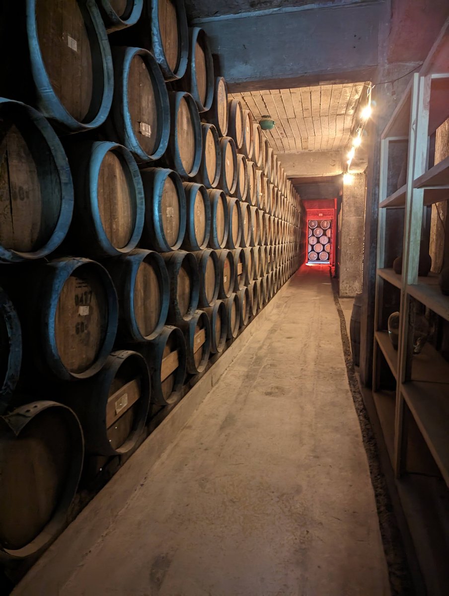 MossieSD's tweet photo. Had a fabulous visit to TEQUILA, spending a lot of time with Officianados...
Fortaeza, Don Fulano, Siete Leguas, https://t.co/cIP6jDp1vF