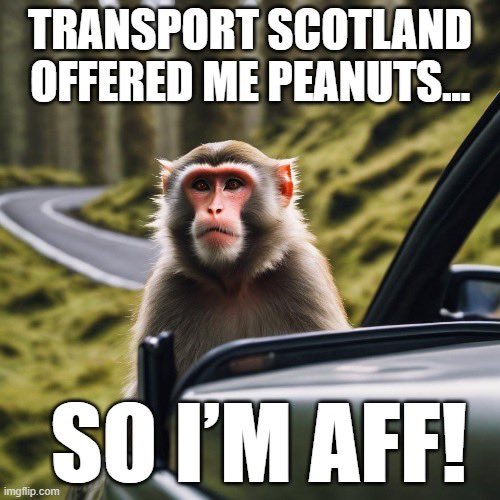 I tried to warn him .. Mr McAck isnae happy !! #transportscotland #dualtheA9 #escapedmonkey #kincraig #highlandwildlifepark