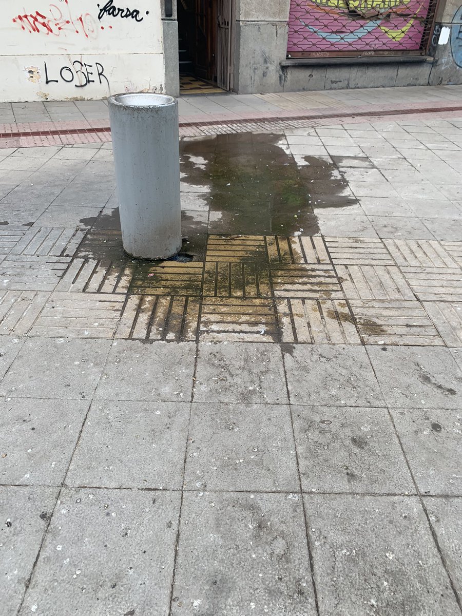 ToñoMillet tweet media