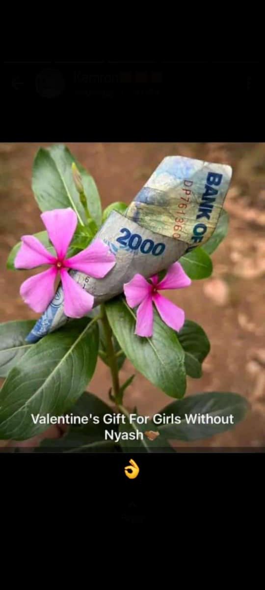 No my words . Jus be honest