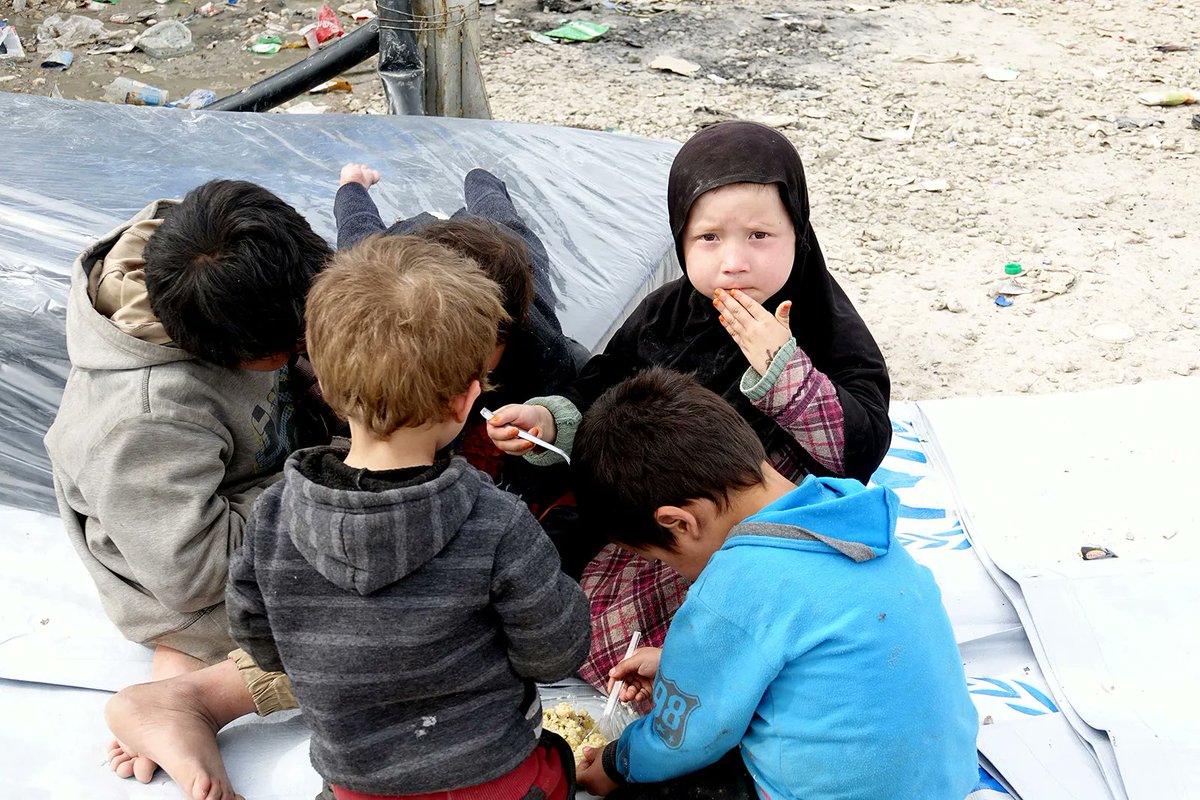 Yeter artık! Her gün El Hol'da bir çocuk daha yitip gidiyor. PKK'nın elindeki bu masumlar için daha ne kadar sessiz kalacağız? Kadınlar ve çocuklar, kabus gibi bir hayat sürüyor. Kaç masum daha kaybedilmeli, vicdanlar harekete geçsin diye?

#PkkBebekKatilidir
#Gaza
