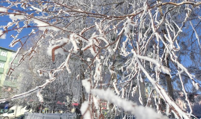 PeyamakurdKrd's tweet image. Serma Ardahanê 32 derece ket binê sifrê (-32C)

peyamakurd.info/kurmanci/Kurdi…

#Ardahan #Gole #serma #Kurdistan
