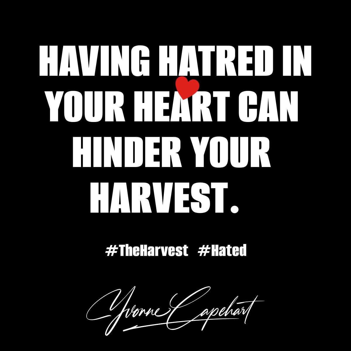 yvonnecapehart's tweet image. HAVING HATRED IN YOUR HEART CAN HINDER YOUR HARVEST.
#TheHarvest 
#TheAssignment 
#AskBIG 
#AnointedForThis