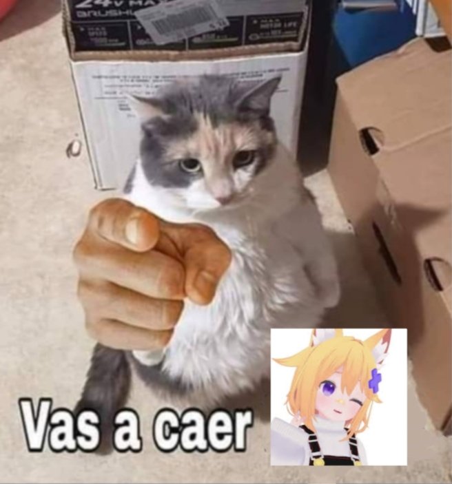 KikikirazZz's tweet photo. @CHparaVTubers Espérate que no es la única https://t.co/YU1UEY3W7R
