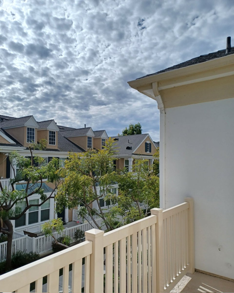 SusanLDorazio's tweet image. #MiddayVibes #LoveWhereILive #LifeOnTheBalcony
