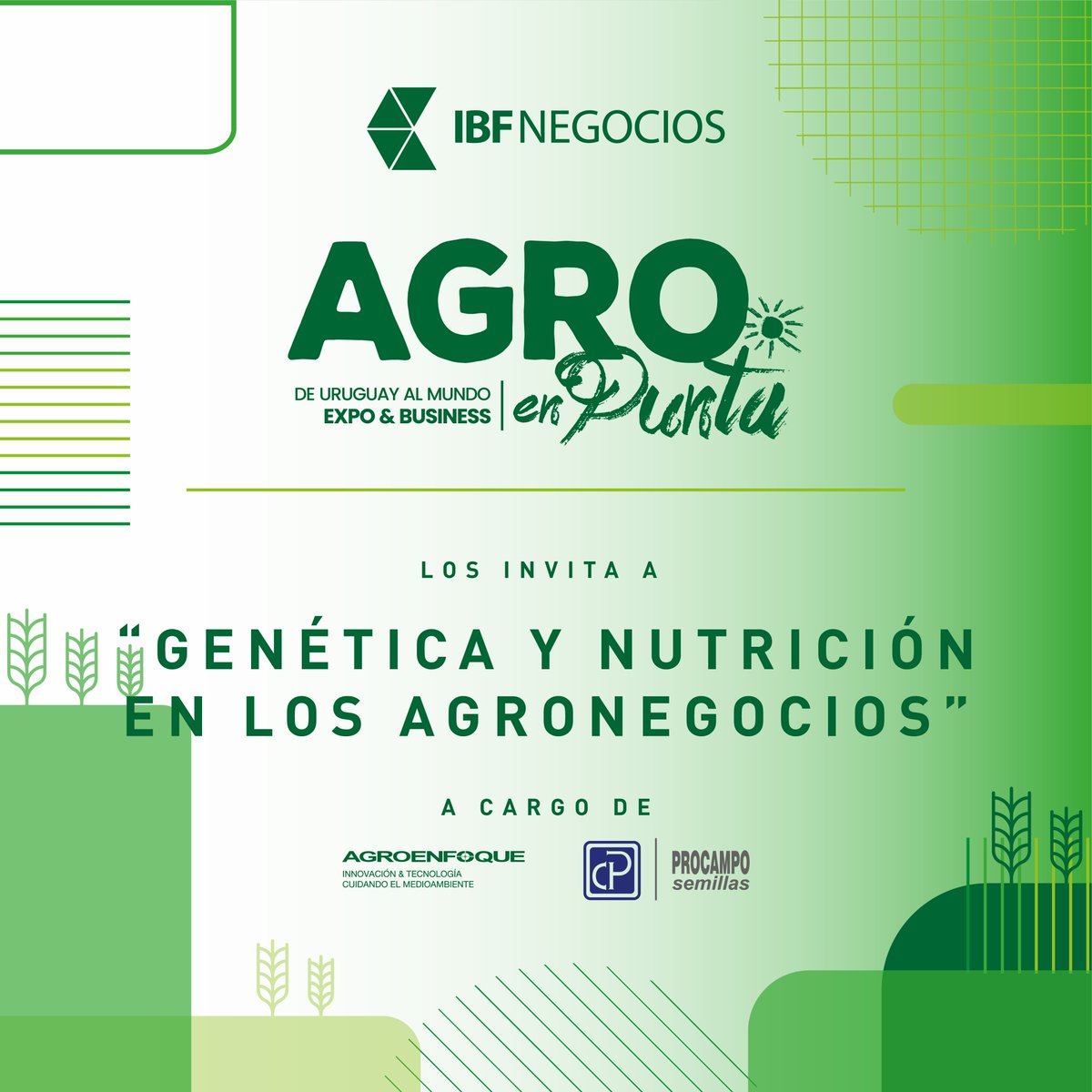 IBF Negocios tweet media