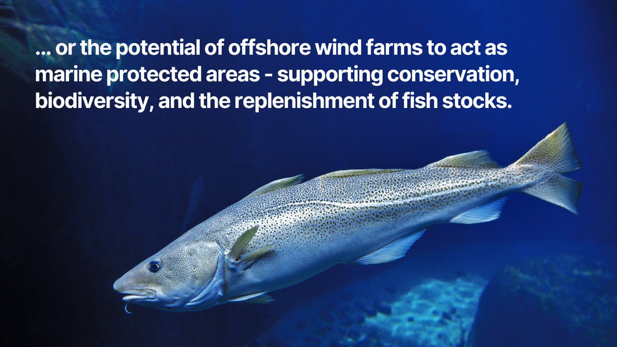 Plymouth Marine Lab (@plymouthmarine) on Twitter photo Our Dr Stephen Watson (<a href="/StephenCLWatson/">Dr Stephen Watson</a>) has led a study that, for the first time, takes a holistic approach to investigating the global impacts of #OffshoreWind farms on biodiversity and ecosystem services - during the installation and operational phases of #OffshoreWindFarms. Our Dr Stephen Watson (<a href="/StephenCLWatson/">Dr Stephen Watson</a>) has led a study that, for the first time, takes a holistic approach to investigating the global impacts of #OffshoreWind farms on biodiversity and ecosystem services - during the installation and operational phases of #OffshoreWindFarms.