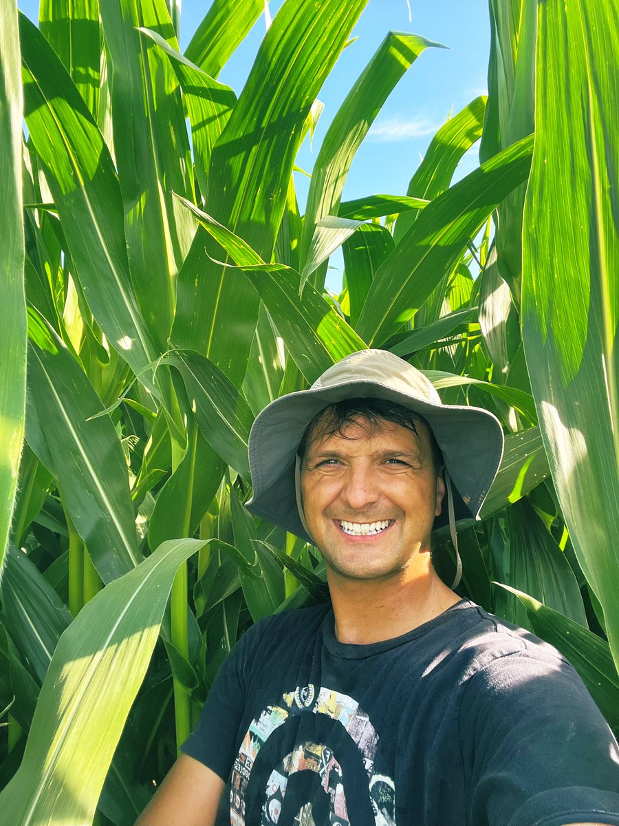 El único lugar donde se puede estar