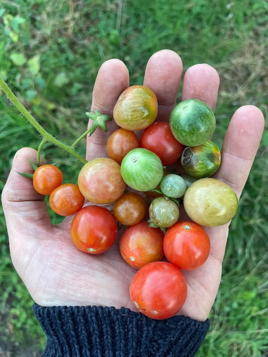 gidaajansi's tweet photo. Hiçbir karşılık beklemeden talep eden herkese ata tohum gönderen Fatih Çolak, sadece talep edip kargosunu almayanlar sebebiyle ödediği iade tutarının 50 bin ₺'yi geçtiğini açıkladı.
Böyle değerli insanları desteklemek gerekiyor,
Köstek olmak değil.
@fatihcolak19831 https://t.co/4ezhlus4tS