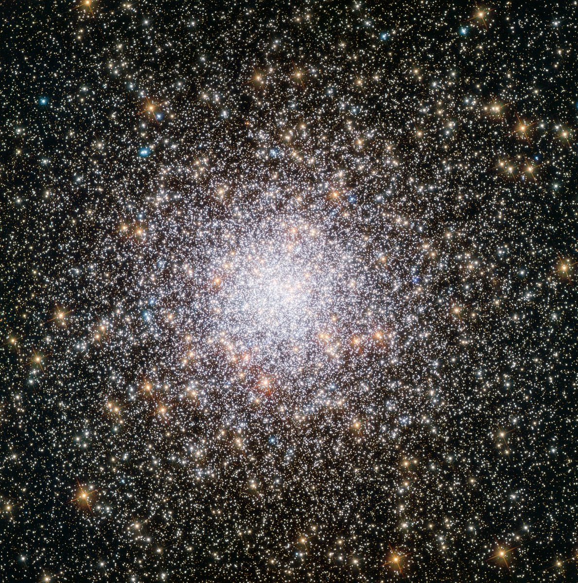<a href="/elmo/">Elmo</a> Thanks for checking in @Elmo. Reminding you all that you are made of star stuff. ✨