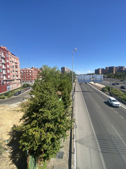 MadridDecadente's tweet photo. 📌Calle Sirio 

En Madrid ya no hay día que no destrocen un parque y unos cuantas decenas de árboles 🌳 

Hoy le ha tocado en Conde de Casal, donde los vecinos han perdido una zona verde frente a sus casas, que además hacía de barrera visual y para reducir el ruido de la M-30 https://t.co/OVhF4F6uyW