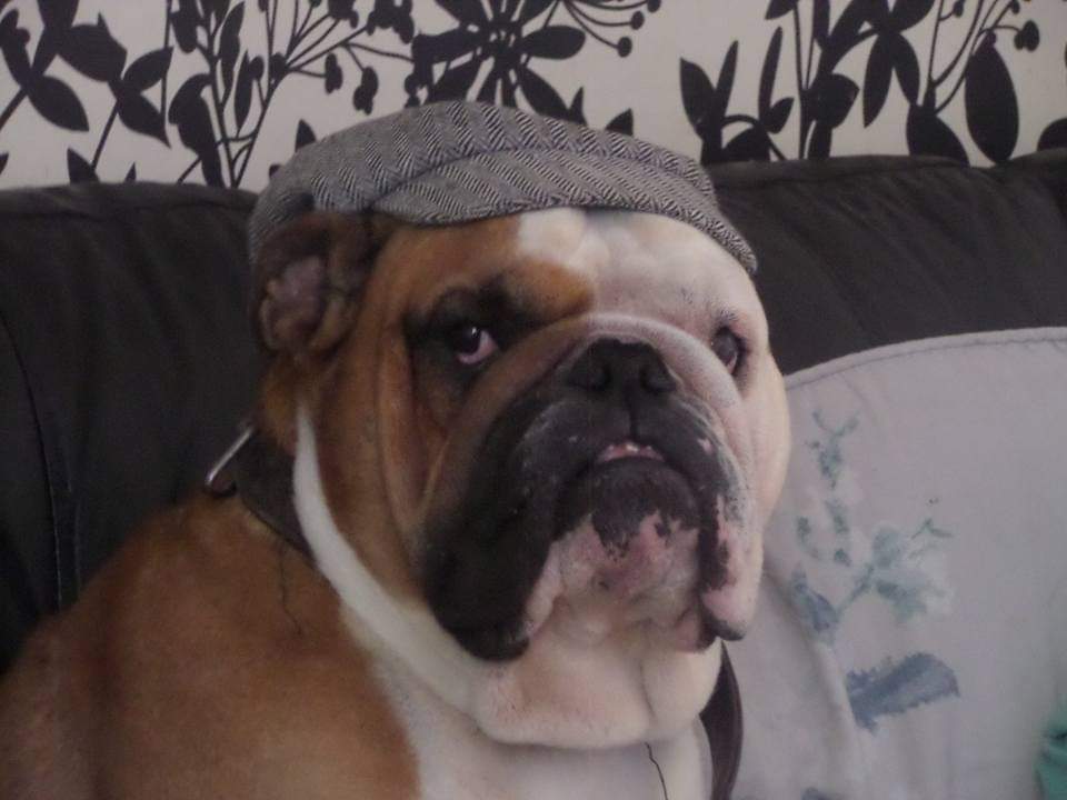 gray1062's tweet photo. @Phil_Sledge Stanley by order of the Peaky Blinders. https://t.co/lFiEVqUcKZ