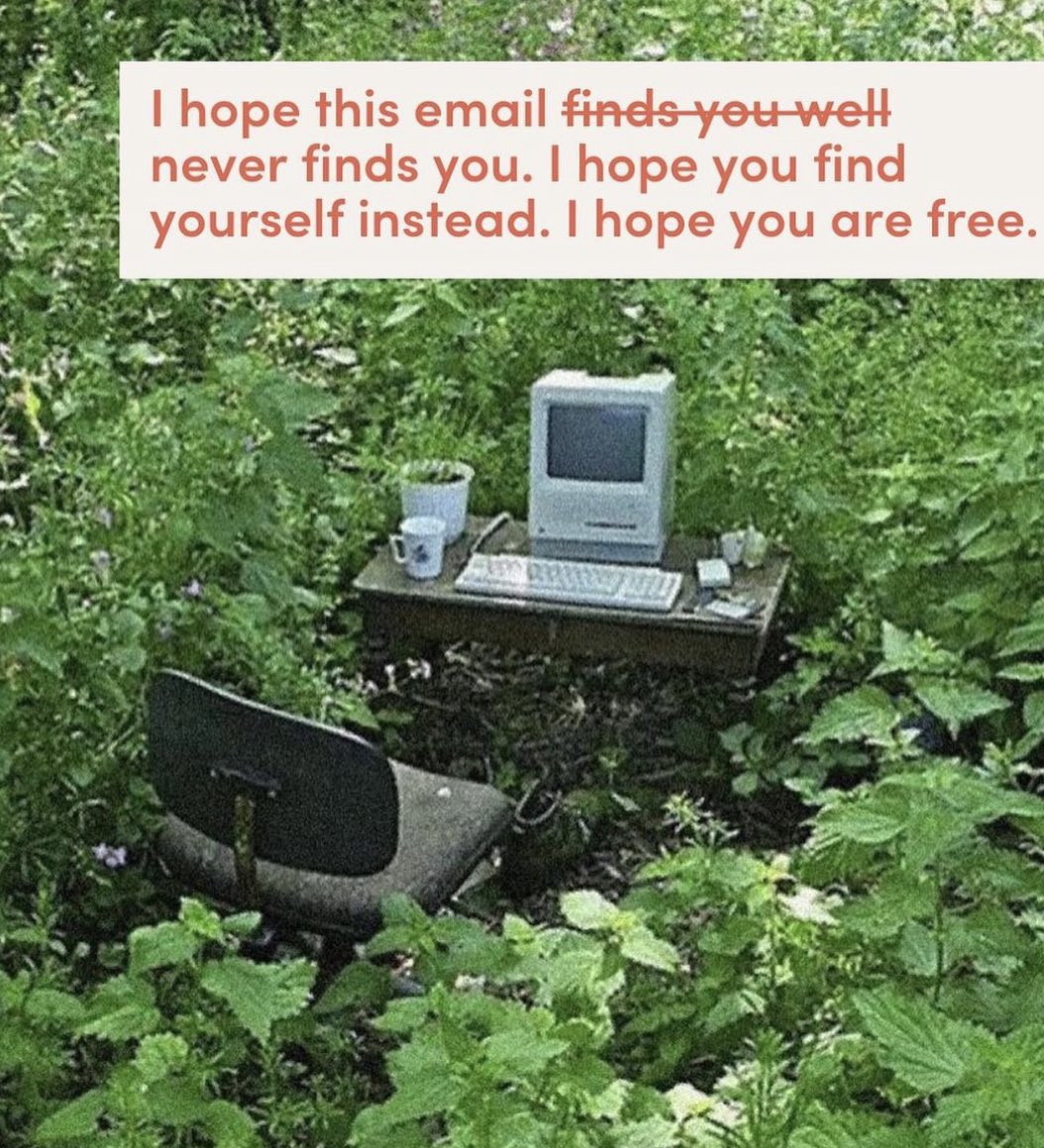AlpacaAurelius's tweet photo. https://t.co/5BFkcUW0mi