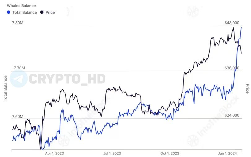 nfjaky's tweet photo. 🔎  In January, the whales accumulated $3,000,000,000 worth of BTC. (IntoTheBlock) https://t.co/nHsuZOXZMh