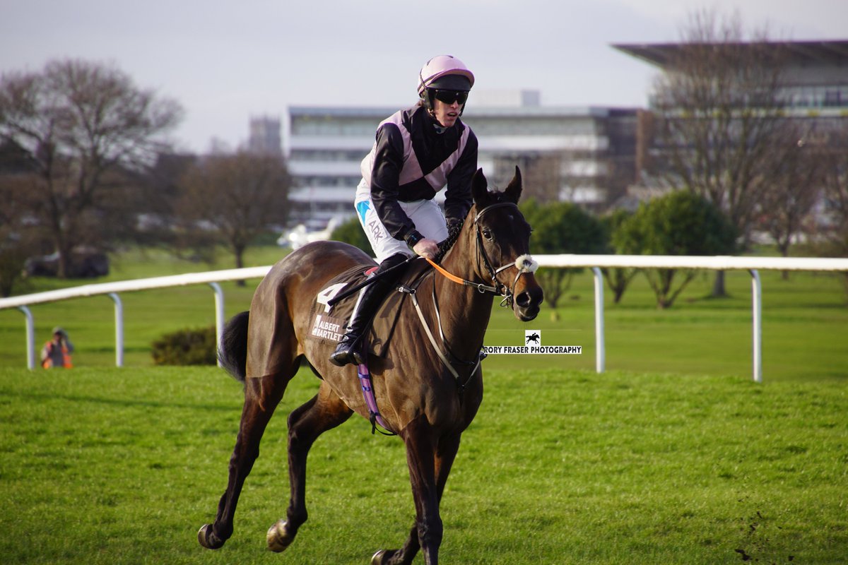 DRIPSEY MOON (Let The Lion Roar x My Memory) at Doncaster on Saturday for the Grade Two River Don Novice Hurdle. Trained by @McConnellRacing, owned by @jimmyfyffe and ridden by @benharvey11. A two time winner in point-to-points and of a novice hurdle earlier in the season.