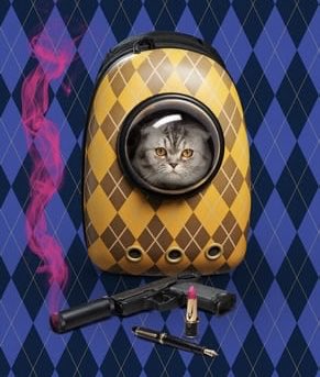 Hans Schiffers (@hansschiffers) on Twitter photo Hoe deze kat grotendeels achter het glaasje blijft in een twee uur durende knotsgekke spionage-thriller van <a href="/Universal_NL/">Universal Pictures</a> #Argylle (met Dua Lipa) #trustnobody Hoe deze kat grotendeels achter het glaasje blijft in een twee uur durende knotsgekke spionage-thriller van <a href="/Universal_NL/">Universal Pictures</a> #Argylle (met Dua Lipa) #trustnobody
