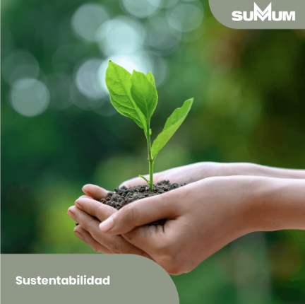 SummumUY's tweet image. Queremos ser actores clave en el logro de la felicidad y el bienestar continuo de las personas, la comunidad y el medio ambiente.

Somos una Empresa B certificada, por eso decidimos actuar hoy para cambiar el mañana.

#SUMMUM #Sustentabilidad #ConcienciaySustentabilidad