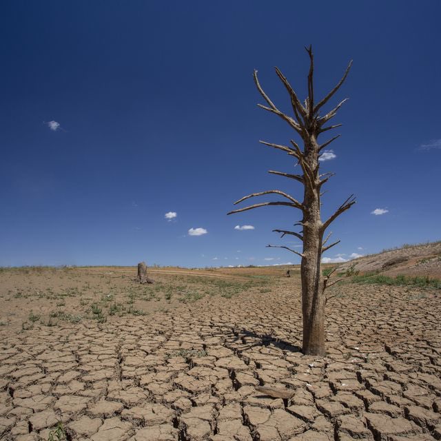 Zayne                                   His humor