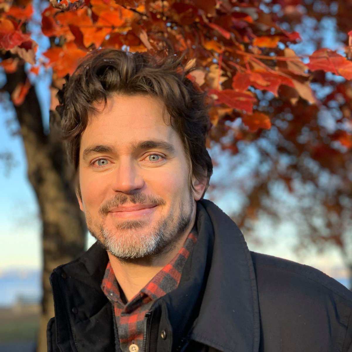 cupidjonny's tweet image. in a modern setting, this is what tim’s camera roll consists of.