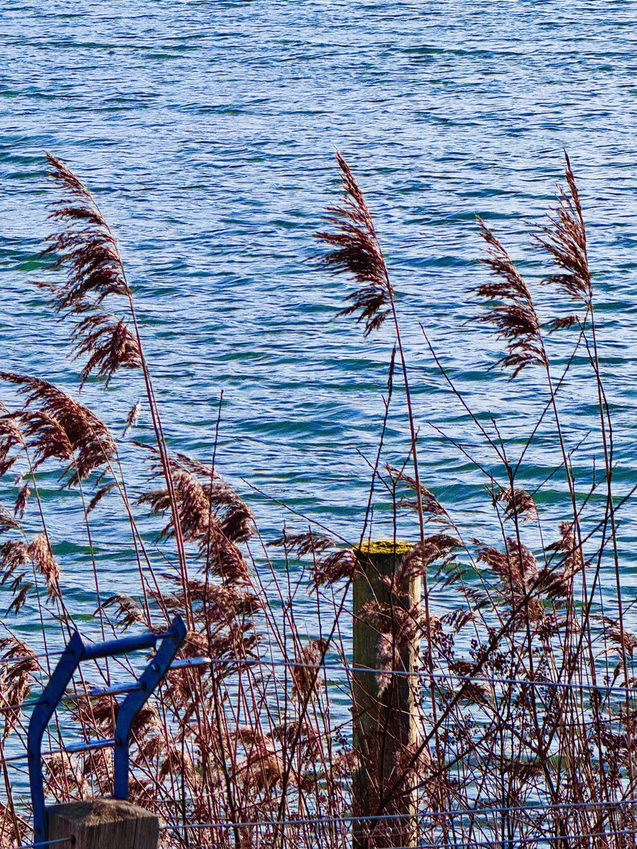 Close your eyes and see these beauties flutter in the breeze...

Share your comments as to how you felt...💐

.
..
...
#BeInTheMoment #Loveyourself