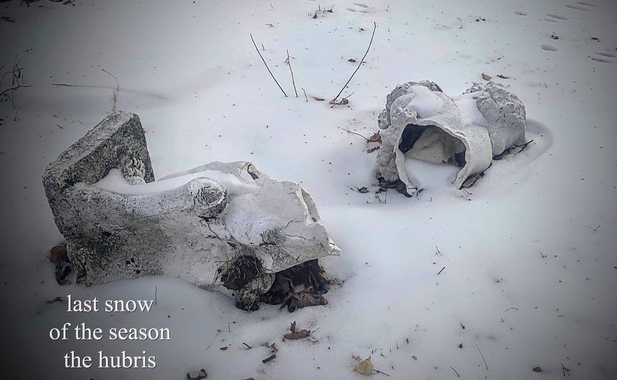 FreshoutMag's tweet photo. #shahai by Jerome Berglund of Minneapolis, MN. @BerglundJerome (IG:@berglundjeromehaiku) #haiga #haiku #poetry #micropoetry #poetrycommunity #photography #snow #photographylovers #poetrylovers #forecast #almanac #weather https://t.co/xRYjU4DVvt