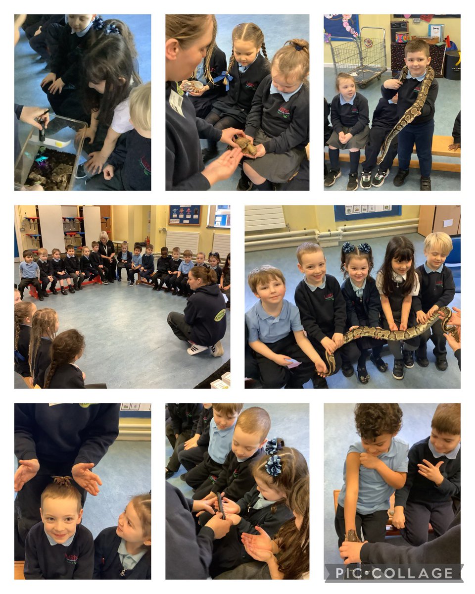 What a fantastic morning today learning all about jungle animals with Animals Take Over. The children were very brave and enjoyed learning lots of facts about the animals. 😀🐸🐍🐌 @AnimalsTakeOver