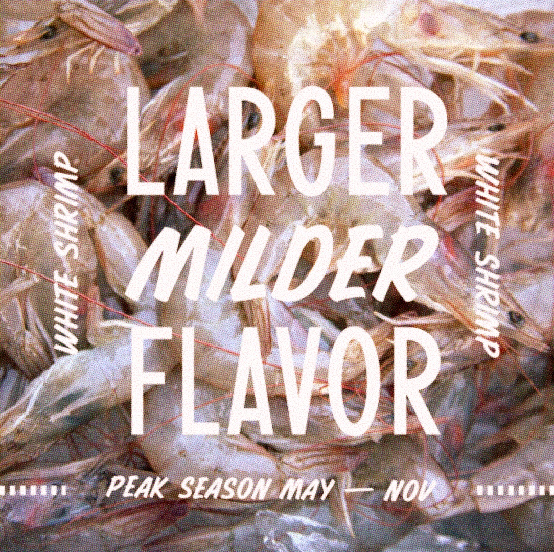 Alabama Seafood tweet media